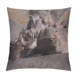 Personality  Hippopotamus Amphibius. Wild Animal In The Nature Habitat. African Wildlife. This Is Africa. Pillow Covers