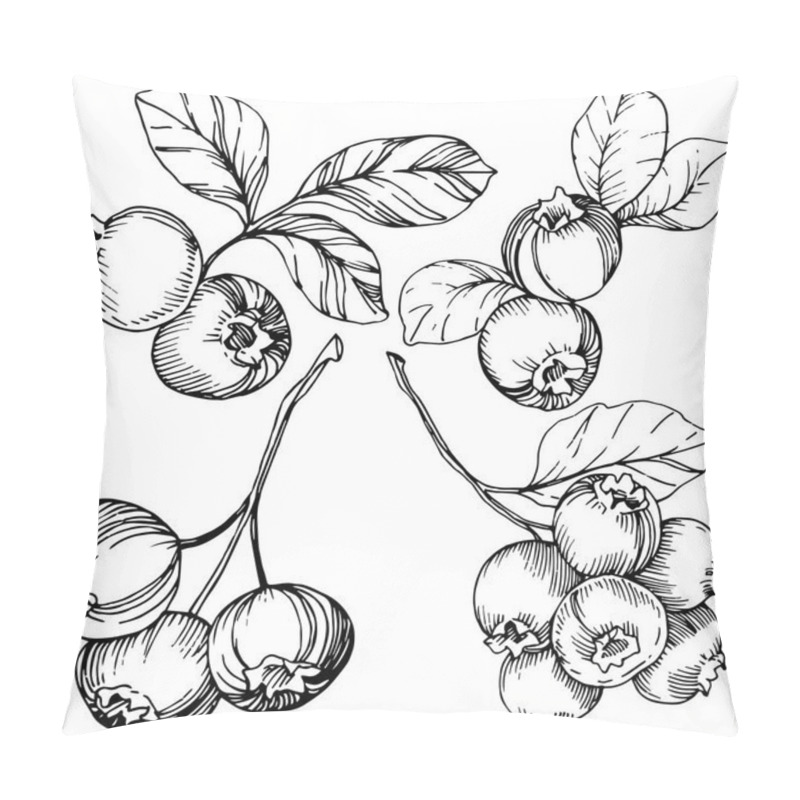 Personality  Vector Blueberry black and white engraved ink art. Berries and leaves. Isolated blueberry illustration element. pillow covers
