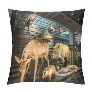 Personality  Stuffing Animals In National Museum Of Nature And Science Japan Pillow Covers