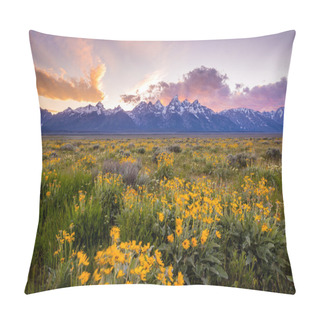 Personality  Flowers Of  Grand Tetons Pillow Covers