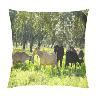 Personality  Goats In Green Field. Pillow Covers