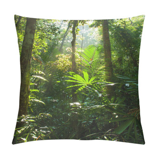 Personality  Beautiful Sunrise Shines On Peat Swamp Forest. Pillow Covers