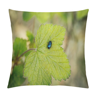 Personality  Forest Beetle On A Young Green Spring Leaf. Pillow Covers