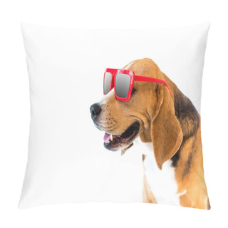 Personality  Beagle Dog In Sunglasses Pillow Covers