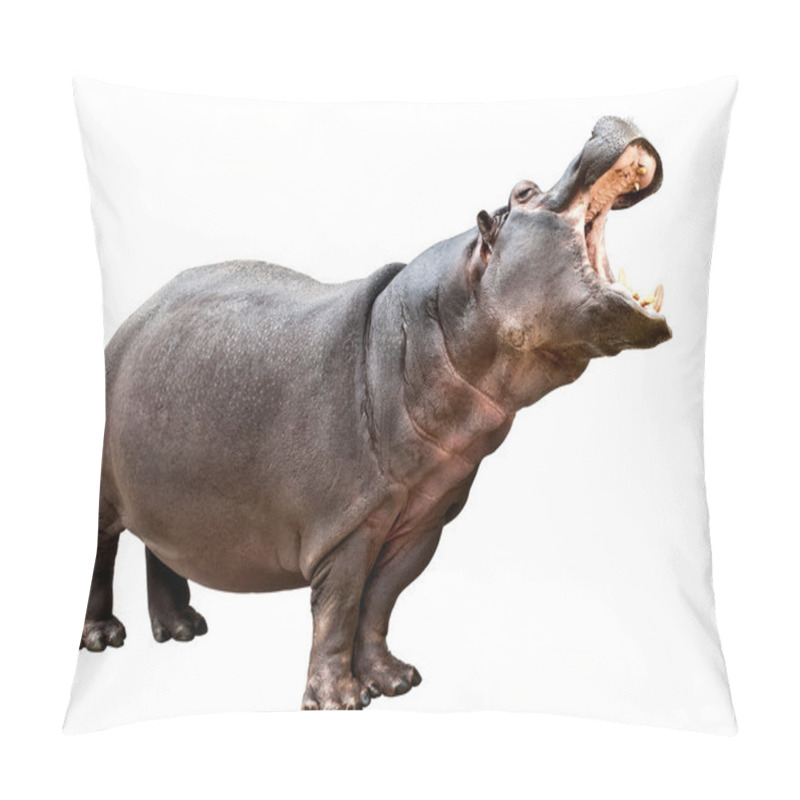 Personality  Hippopotamus Opened The Mouth Pillow Covers