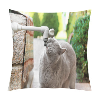 Personality  Funny Cat Drinking Water  Pillow Covers