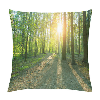 Personality  Beautiful Woods, Sunset In Forest Pillow Covers