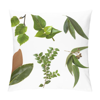 Personality  Leaves Collection Isolated On White Pillow Covers