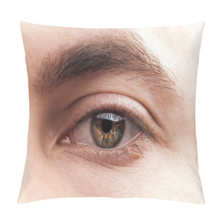 Personality  Close Up View Of Young Woman Brown Eye With Eyelashes And Eyebrow Pillow Covers