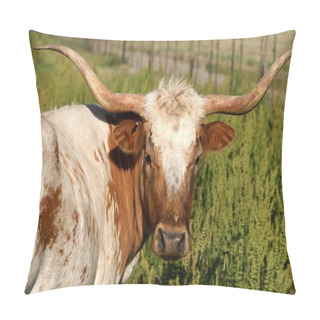 Personality  Longhorn Cow Pillow Covers