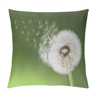 Personality  Dandelion Seed Pillow Covers