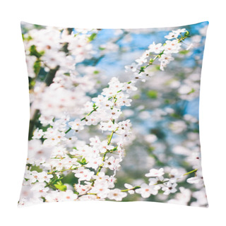 Personality  Cherry Tree Blossom And Blue Sky, White Flowers As Nature Backgr Pillow Covers