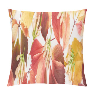 Personality  Panoramic Shot Of Maple Seeds, Colorful Autumn Leaves Of Wild Grapes, Alder And Maple Isolated On White  Pillow Covers