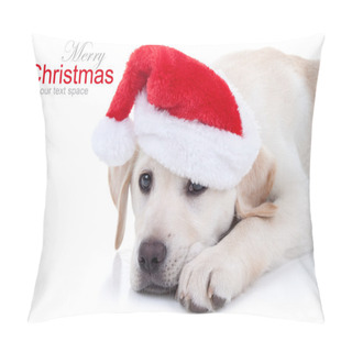 Personality  Christmas Dog Pillow Covers