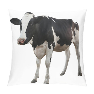 Personality  Cute Cow On White Background. Animal Husbandry Pillow Covers