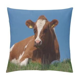 Personality  Cows In Natural Landscape, Selective Focus  Pillow Covers