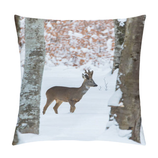 Personality  Roe Deer (Capreolus Capreolus) In The Winter Wild Forest.  Pillow Covers