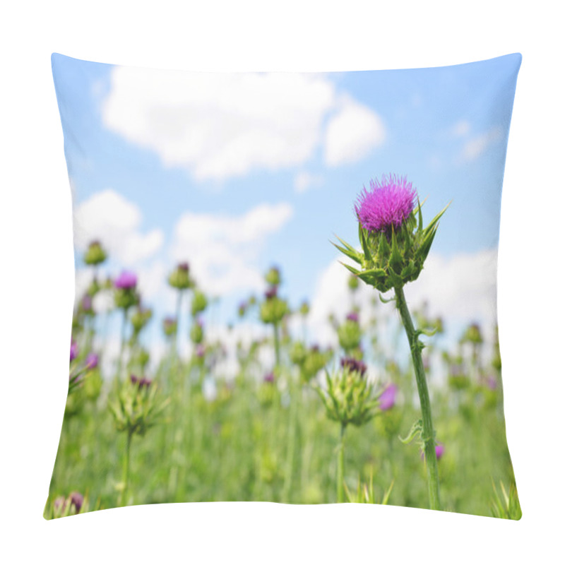 Personality  Field with Silybum marianum pillow covers