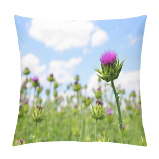 Personality  Field With Silybum Marianum Pillow Covers