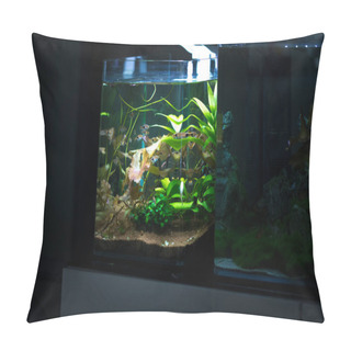 Personality  Freshwater Small Planted Aquarium  Pillow Covers
