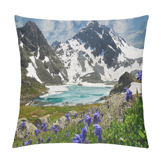 Personality  Beautiful Summer Landscape, Altai Mountains Russia. Pillow Covers