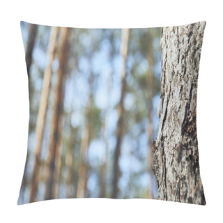 Personality  Close Up View Of Tree Textured Bark In Forest With Copy Space Pillow Covers