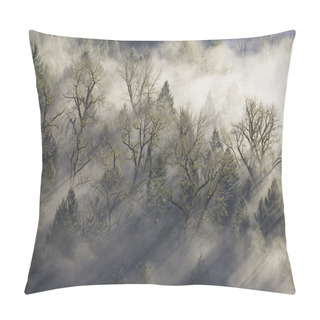 Personality  Sun Rays Beaming Through The Mist In Forest Pillow Covers