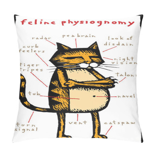 Personality  Woodcut Illustration Of Feline Physiognomy Pillow Covers