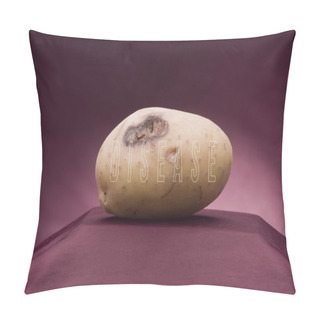 Personality  Word Disease Written On Red Background With Real Potato On It. Pillow Covers