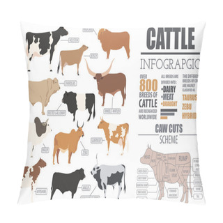 Personality  Cattle Breeding Infographic Template. Flat Design Pillow Covers