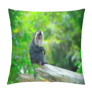 Personality  Wild Lion-tailed Macaque Pillow Covers