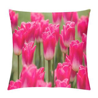 Personality  Image Of Pink Tulip Flowers In A Garden Pillow Covers