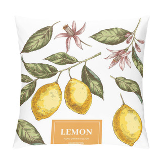 Personality  Lemons Hand Drawn Vector Illustrations Pack Pillow Covers
