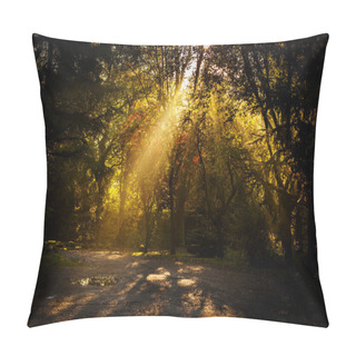 Personality  Sun Rays Beam Pillow Covers