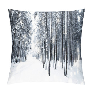 Personality  Winter Holiday Background, Nature Scenery With Shiny Snow And Co Pillow Covers