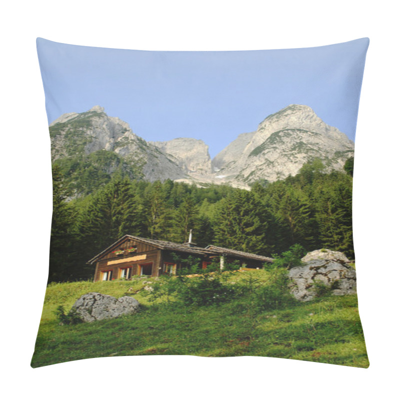 Personality  In the pasture in the foothills on autumn pillow covers