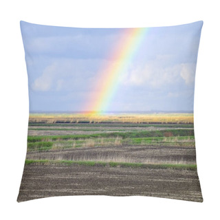 Personality  Rainbow, A View Of The Landscape In The Field. Formation Of The Pillow Covers