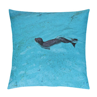 Personality  Seal In The Blue Water 1 Pillow Covers