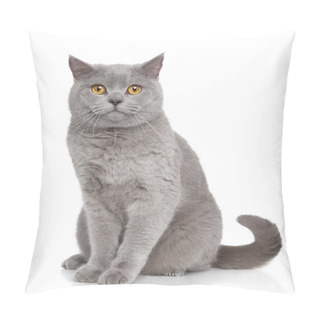 Personality  British Shorthair Cat Portrait Pillow Covers