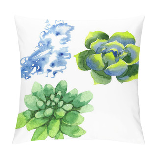 Personality  Amazing Succulents. Watercolor Background Illustration. Aquarelle Hand Drawing Isolated Succulent Plants And Spot. Pillow Covers