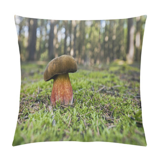 Personality  Mushrooming Season. Mushroom In The Wild. Pillow Covers