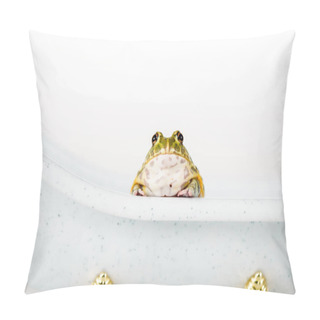 Personality  Cute Green Frog In Small Luxury Bathtub Isolated On White Pillow Covers