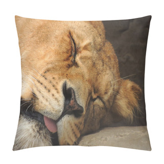 Personality  Sleeping Lioness. Pillow Covers