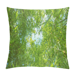 Personality  Bamboo Plants - Panorama Pillow Covers