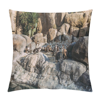 Personality  Group Of Pinguins Lazing On Rocks In Zoo, Barcelona, Spain Pillow Covers