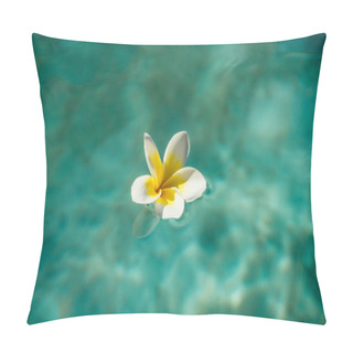 Personality  Plumeria, Franjipani Flower And Blue Water In Swimming Pool Pillow Covers