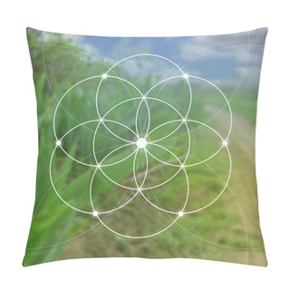 Personality  Flower Of Life - The Interlocking Circles Ancient Symbol. Sacred Geometry. Mathematics, Nature, And Spirituality In Nature. Fibonacci Row. The Formula Of Nature. Self-knowledge In Meditation. Pillow Covers