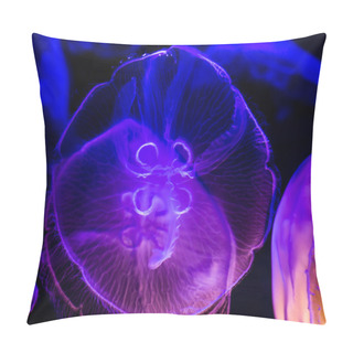 Personality  Closeup Of Several Beautiful Moon Jellyfish Pillow Covers