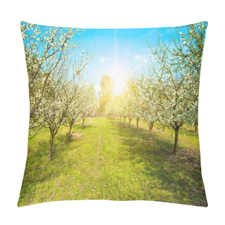 Personality  Spring Blossom Trees In Sunlight Pillow Covers