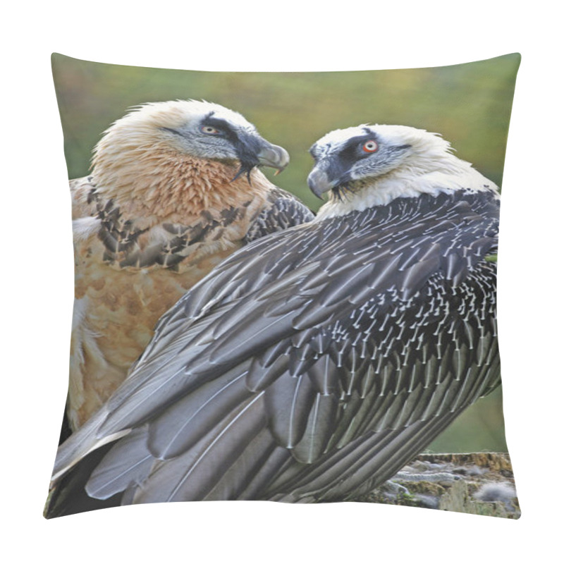 Personality  Portrait Of Pair Of Bearded Vultures, ( Gypaetus Barbatus ) Pillow Covers
